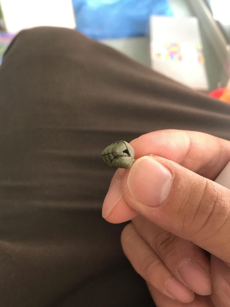 今回一番頑張ったんじゃないでしょうか、拳です。