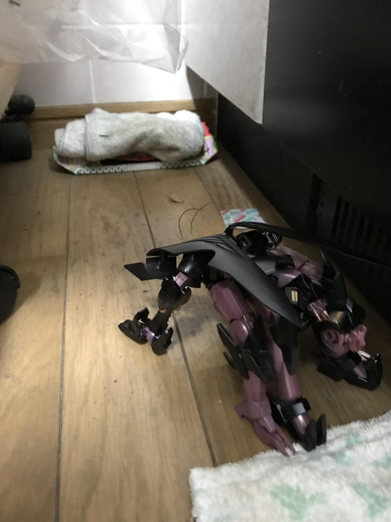 躊躇して足を止めたか、