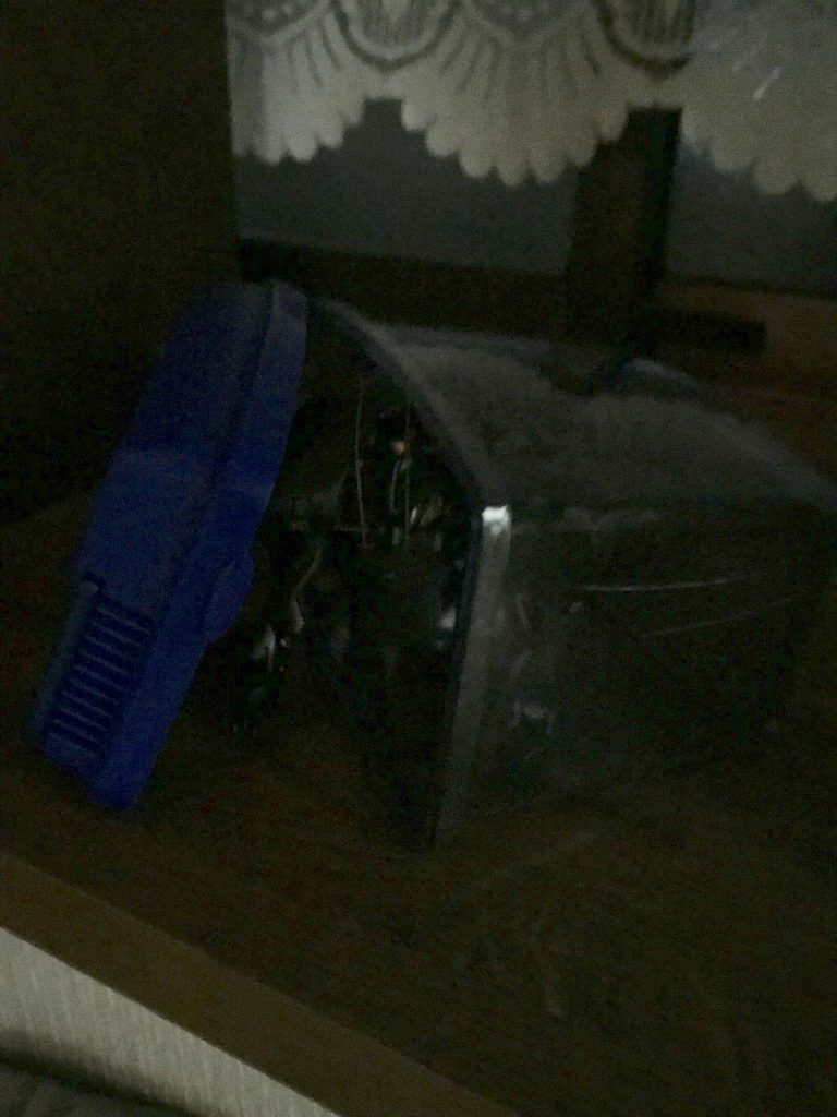 カサカサ……
(“G”ガンダムは止まらない…)