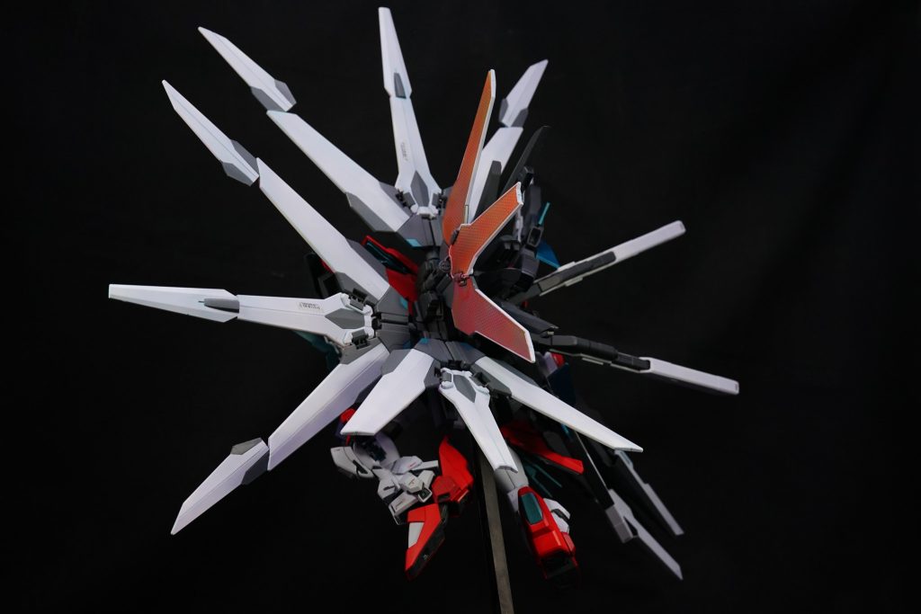 放射状に羽を広げています