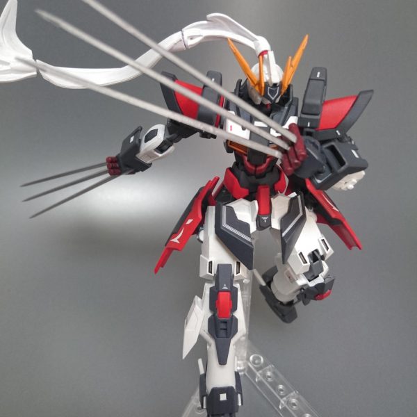 ディス・カテドラル