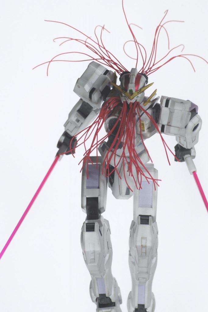 以前撮影したもの②