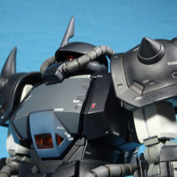 HG ORIGIN MSD プロトタイプグフ [戦術実証機]