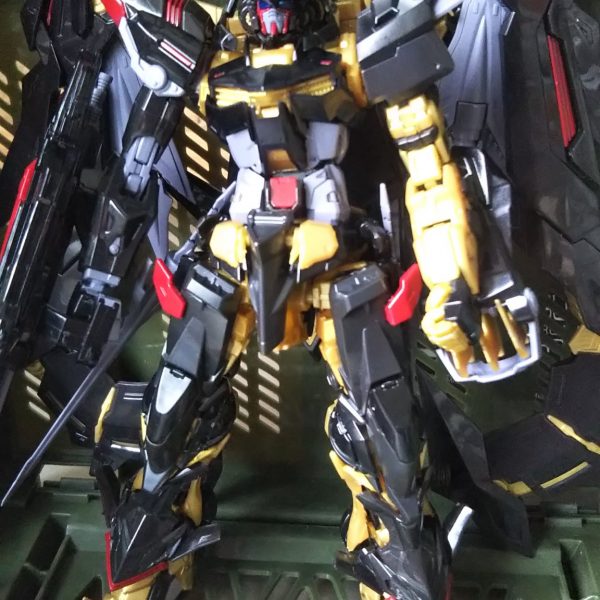 ガンダムアストレイ ゴールドフレーム天ミナ