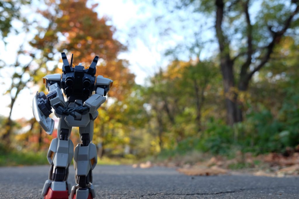 日が落ちるのが早くなってきました。
そういや霜も降りましたもんね。(北海道ならではの早すぎる冬の到来)
風邪をひかないように、気をつけましょうね。