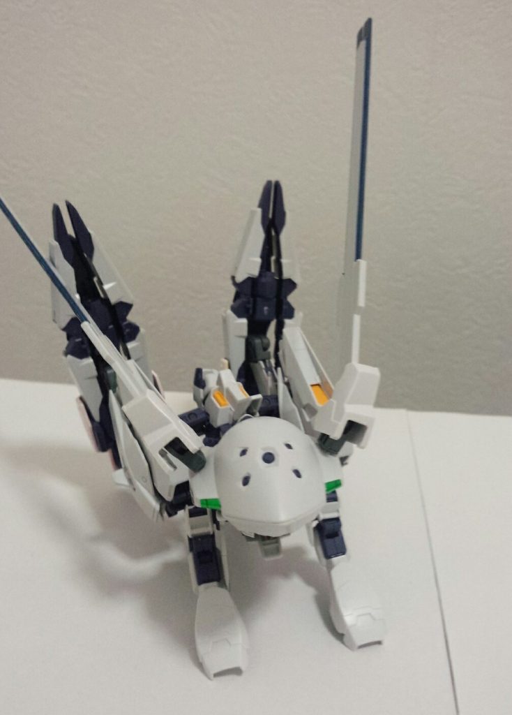 正面
つぶらな瞳がかわいいですね。