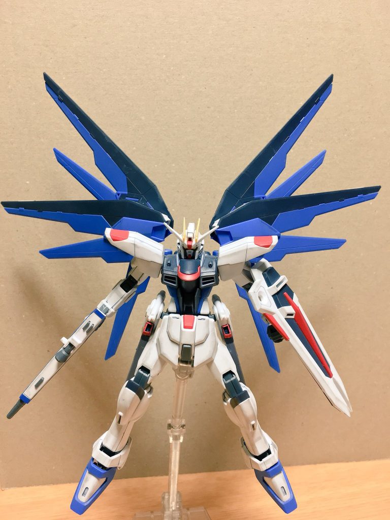 翼を大きく広げました！