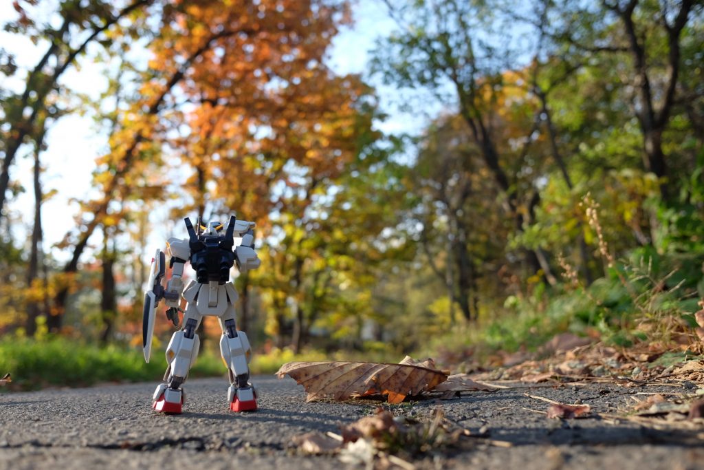 すっかり秋がやって来ていました。
紅葉と白い機体は映えますね。
そういや家のストーブって火消してきたかな。
まあいいや。