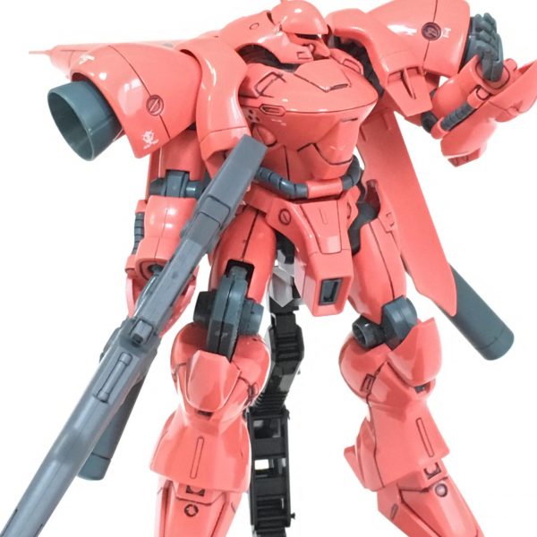 ガーベラテトラ