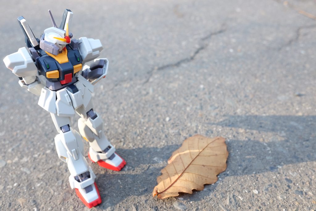 柏の葉を興味深そうに見てますね。
あんまり外に出ないから物珍しいのかもしれません。