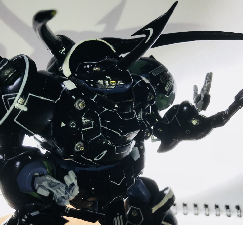 カブトムシの様な黒光りをさせてます。