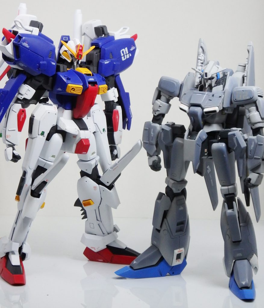 ゼータプラスと一緒に