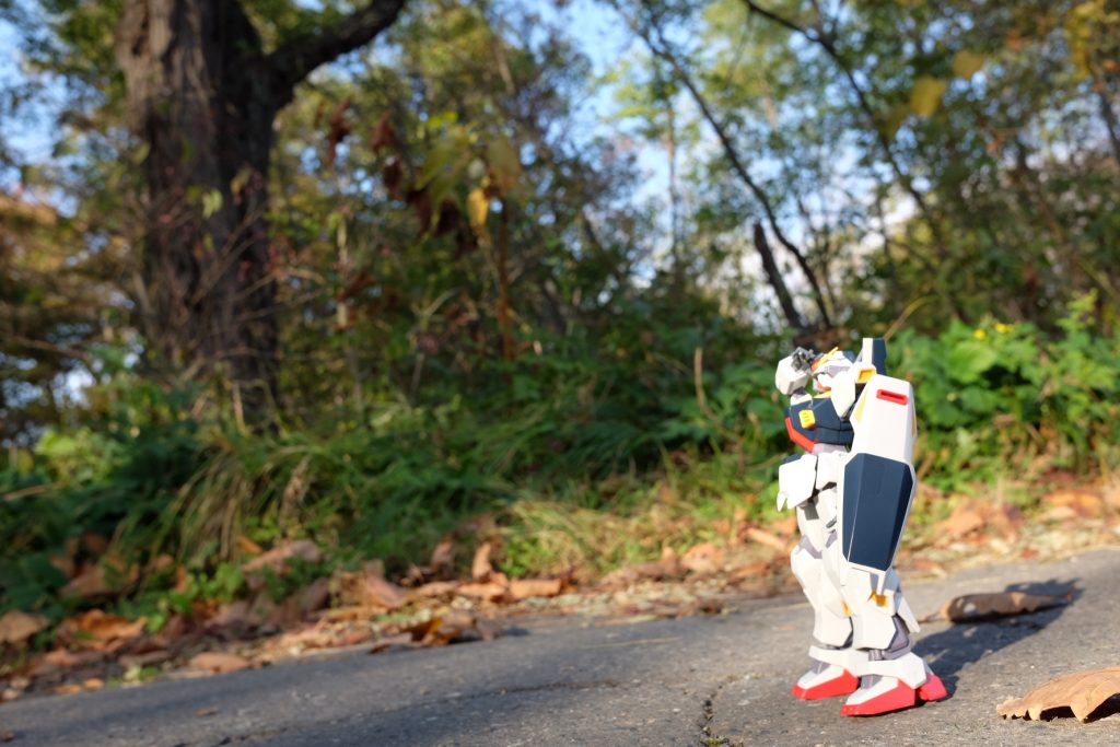 私の地元では、最低気温がマイナスを下回りました。
長く厳しい冬の足音が聞こえてきます。