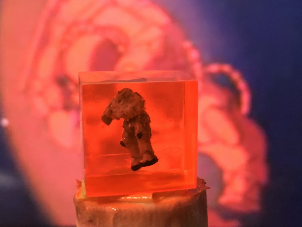 関節をぶった切って似せようと思ったのですが、作画的に？大変なのでこのくらいで諦めました。