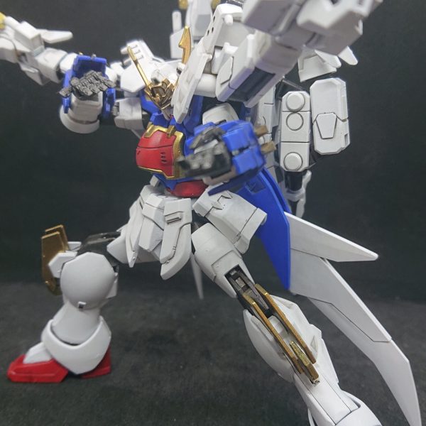 白四頭龍頑駄無