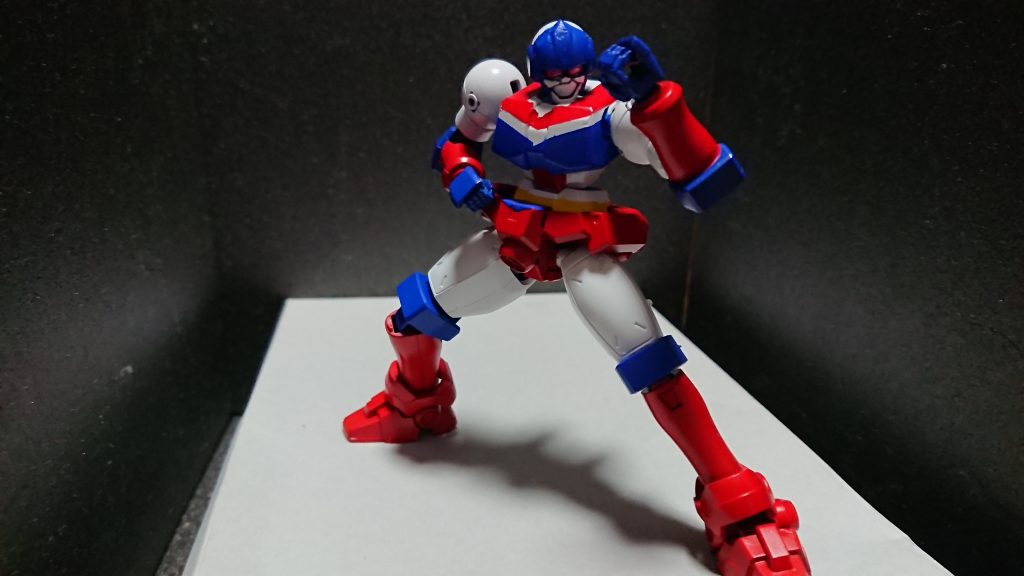 拳法主体の格闘重視型です