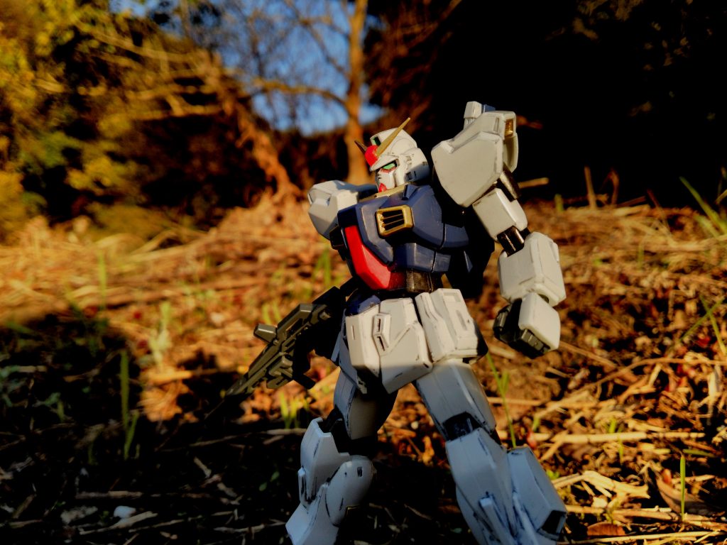 横から。
下半身に影が落ちてしまい、失敗っぽいですね
(;^_^A