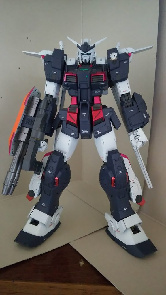 正面。アンクルアーマーの隙間は気にしないでください笑