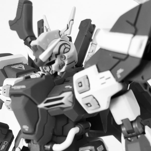 AMS-123X-X MOON GUNDAM ムーンガンダム