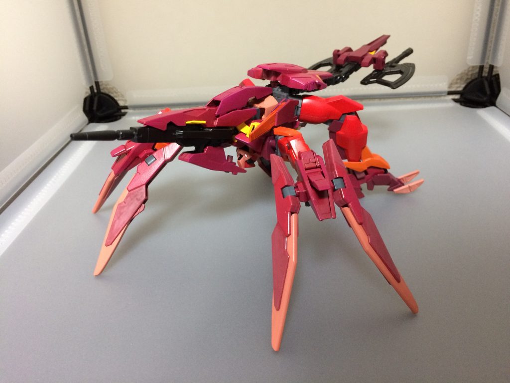 サソリ…じゃないけど…どんな形?変な形!
ということでヘテロモーフです