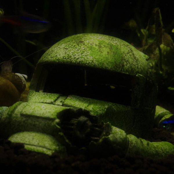 ジャブローの底