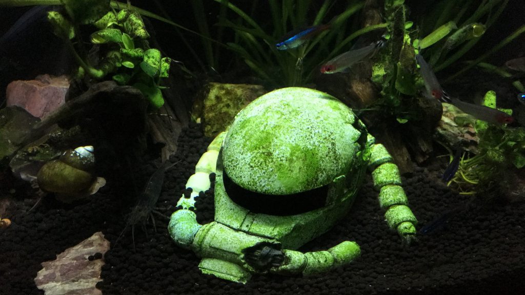 降下中、まもなく着底します。的な。