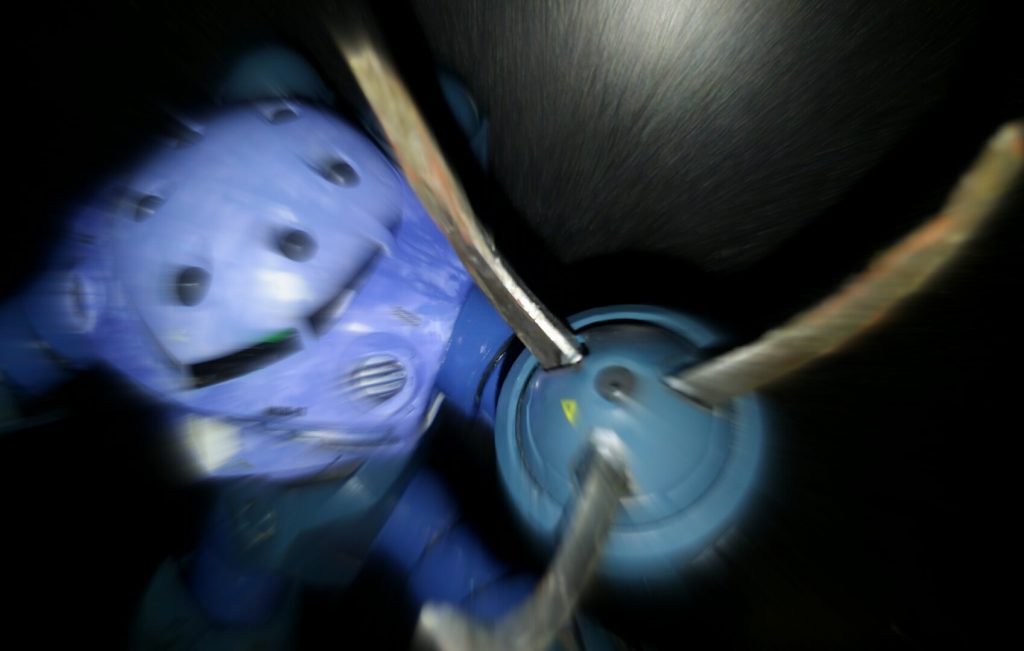 ぎゃー!余計な事言うなと暴れだした!!