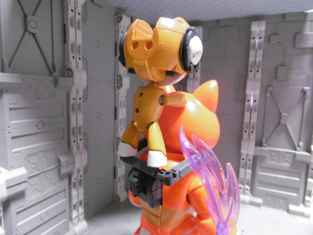 チェアーストライカーは使えなくなりましたけど、後ろに乗れるので問題なし。