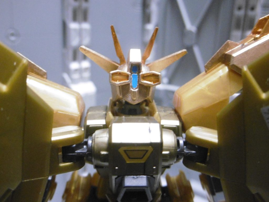 後頭部も色分けしています。