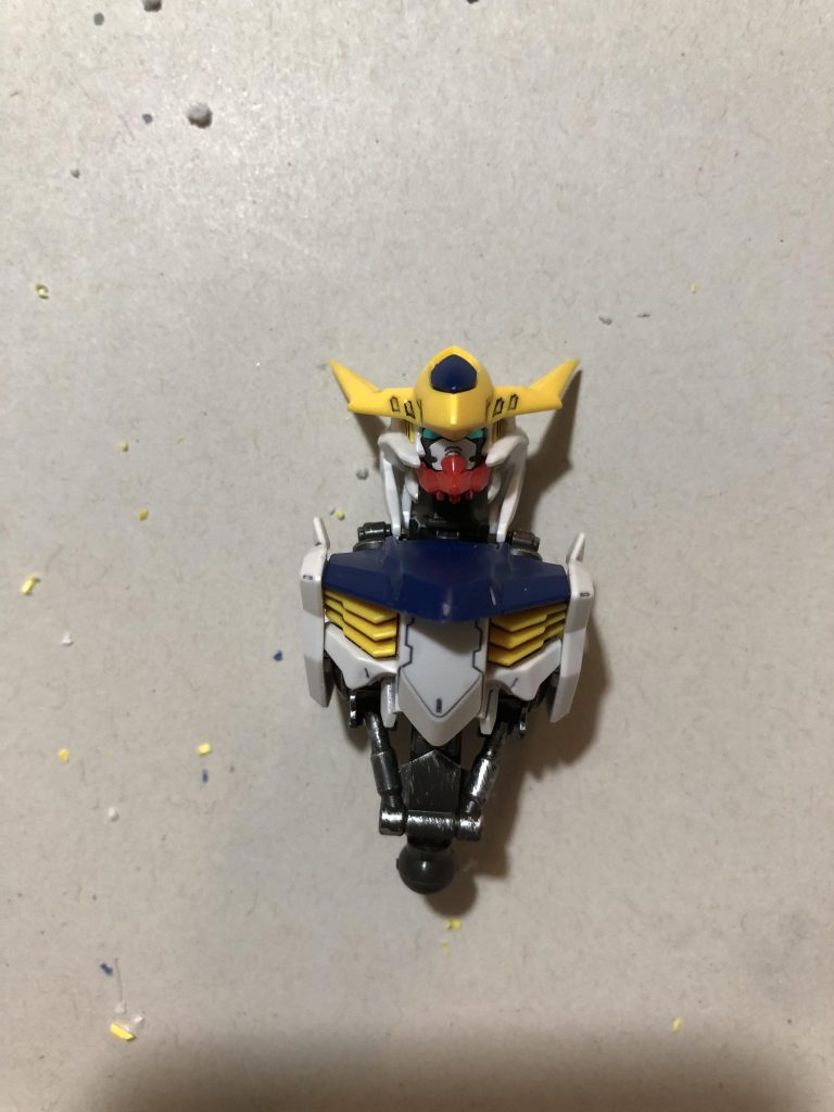 ツノは少し削っています