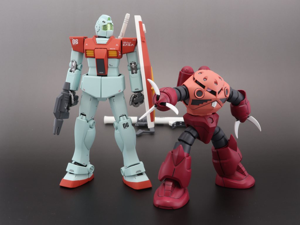 ポーズつけての撮影なし!
人生初ガンプラのHGズゴックと。
写真は以上です。