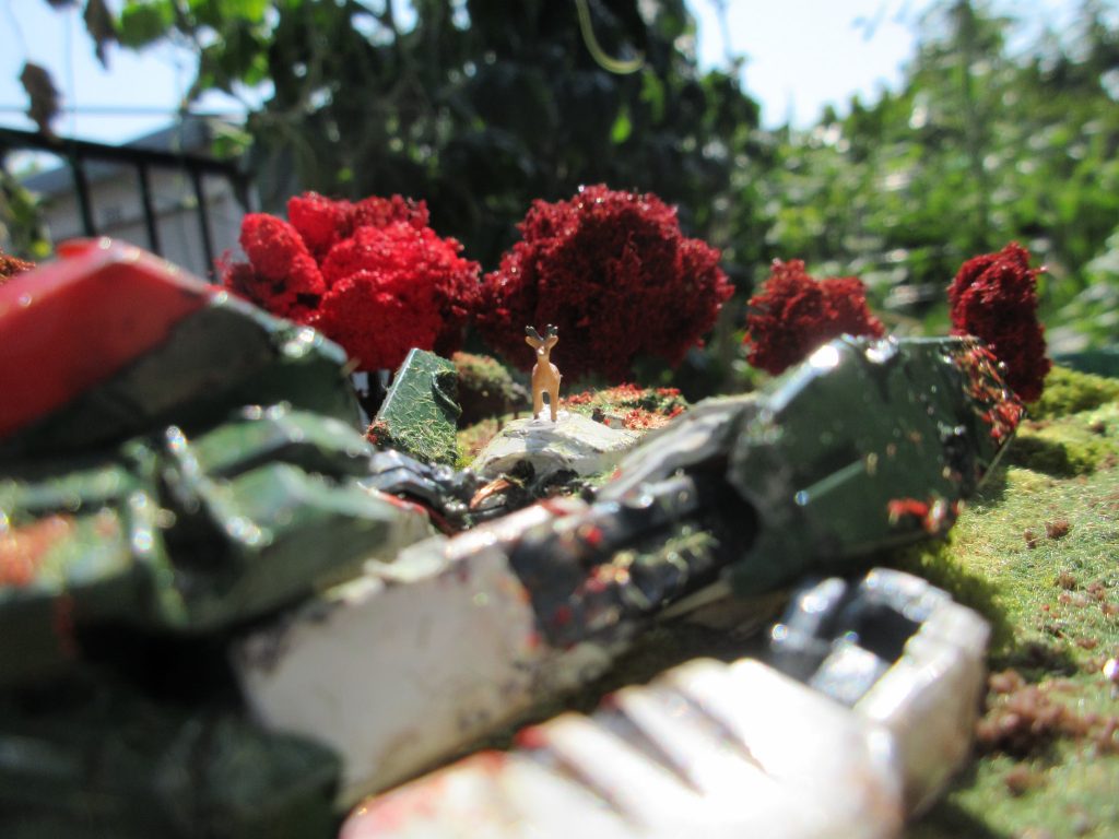 4頭目 さっきと同じ子。