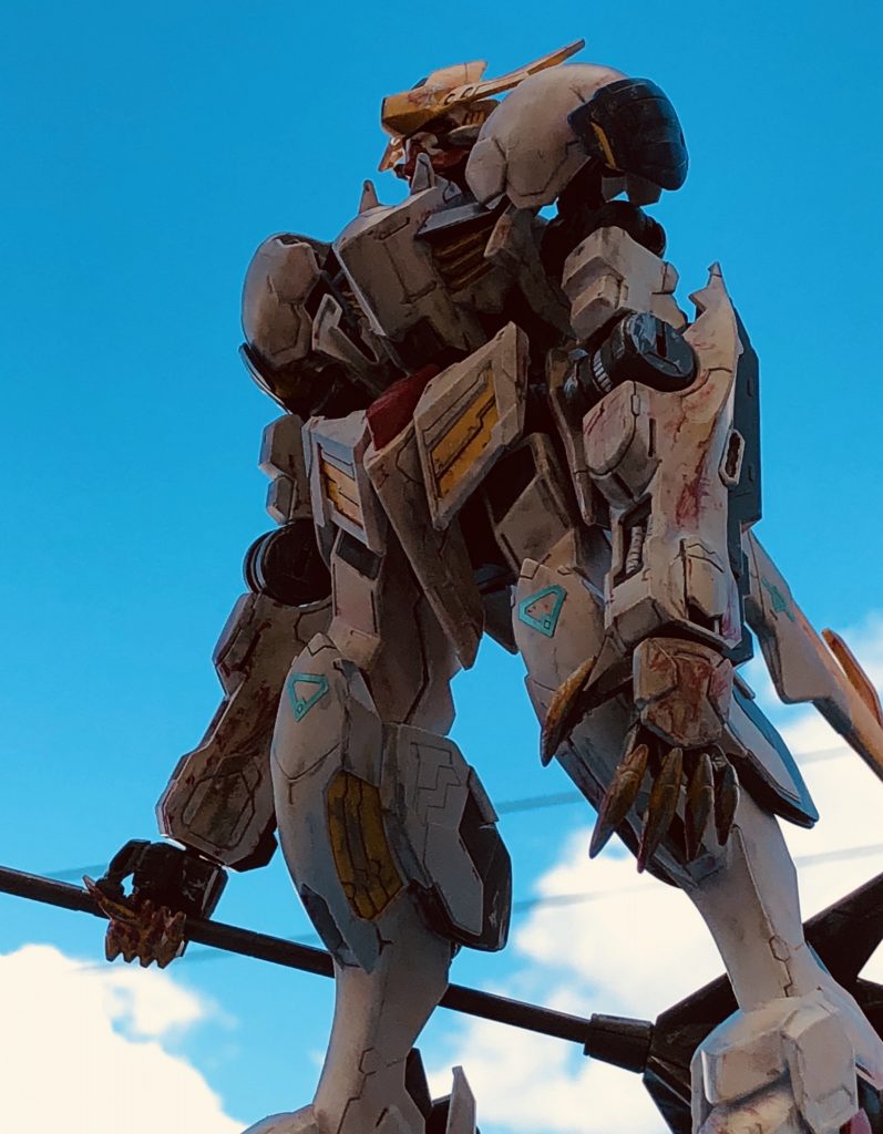 外で撮影すると野生感が出るような気がします。