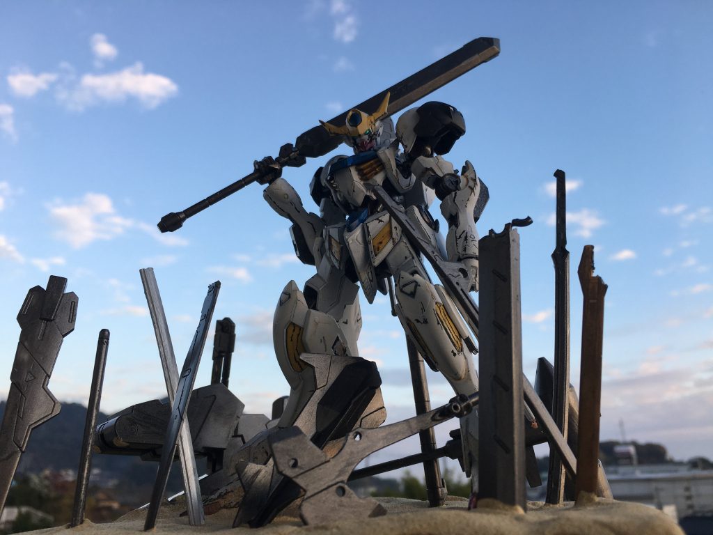 野外撮影1枚目です。
民家がどうしても映ってしまったのが悔やまれます。