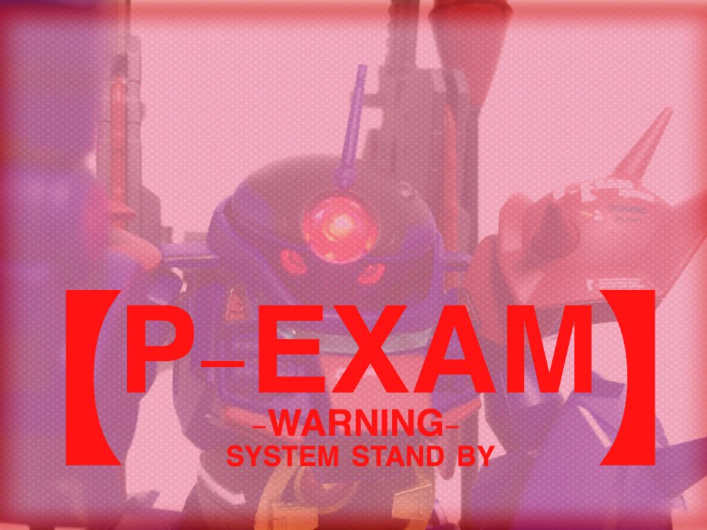 ◆Ｐ－ＥＸＡＭ(フォトンバースト・エグザム)◆
背部に装備しているフォトンバッテリーブースターのエネルギー供給を過剰にして本体のリミッターを解除した状態。