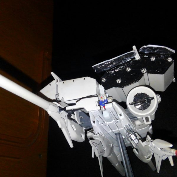 置き場に困らない方のデンドロさん