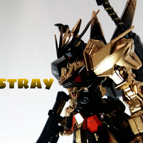 T.M.ASTRAY