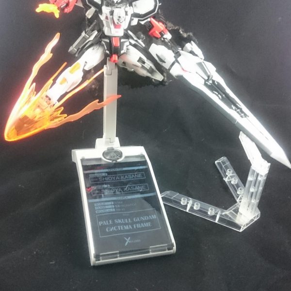 ペイル スカル ガンダム