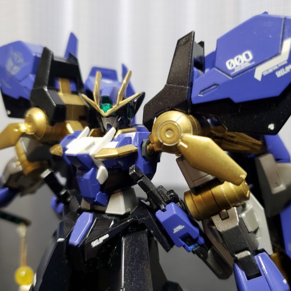 ガンダムダブルオーダイバー　オルタネイト