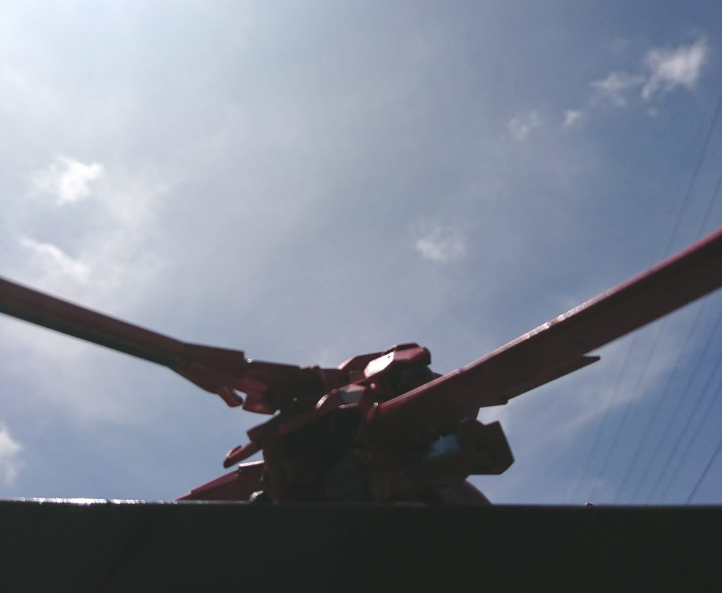 ベランダにて。
7月の日差しの下で撮影したので、逆光が凄いw