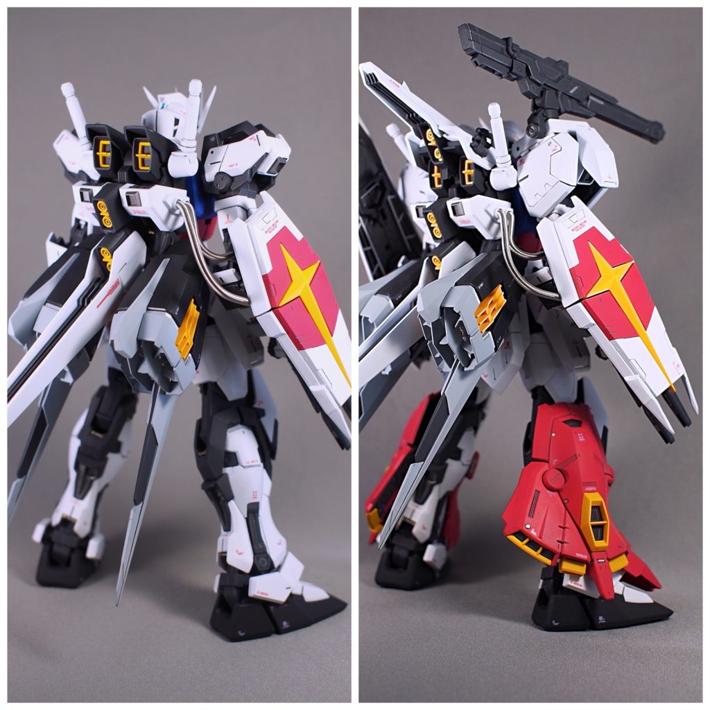 比較画像・バック