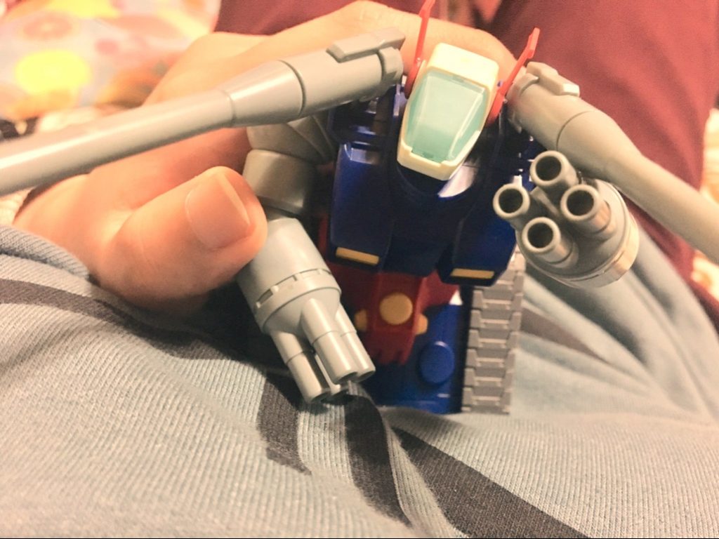 ガンタンクと出会い、同じ時を過ごしていくうちに、心が安らぎ、幸せを感じるようになりました。
そんな日々の中で、この先も共に歩んで生きたいという思いが募り、入籍する運びとなりました。