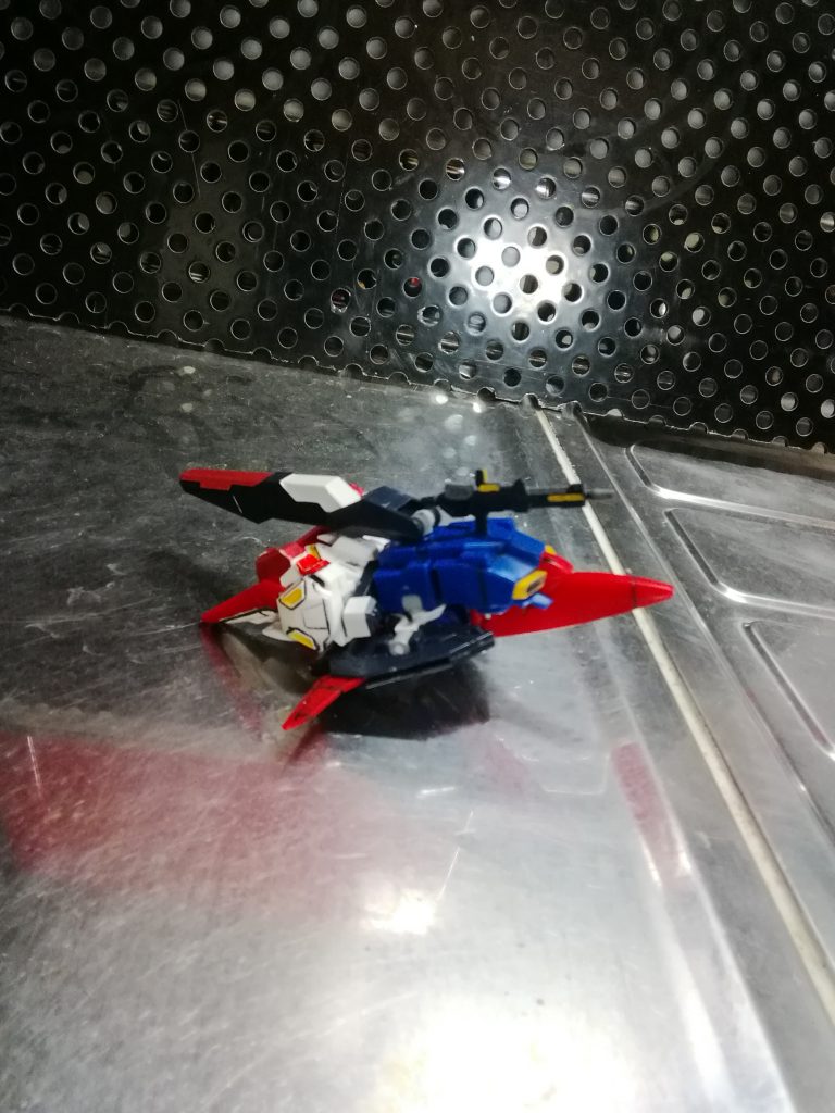 ウェブライダー形態