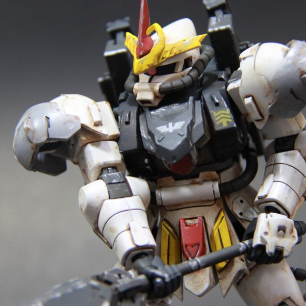 MS-06R-EF Zaku Emperor Type-F