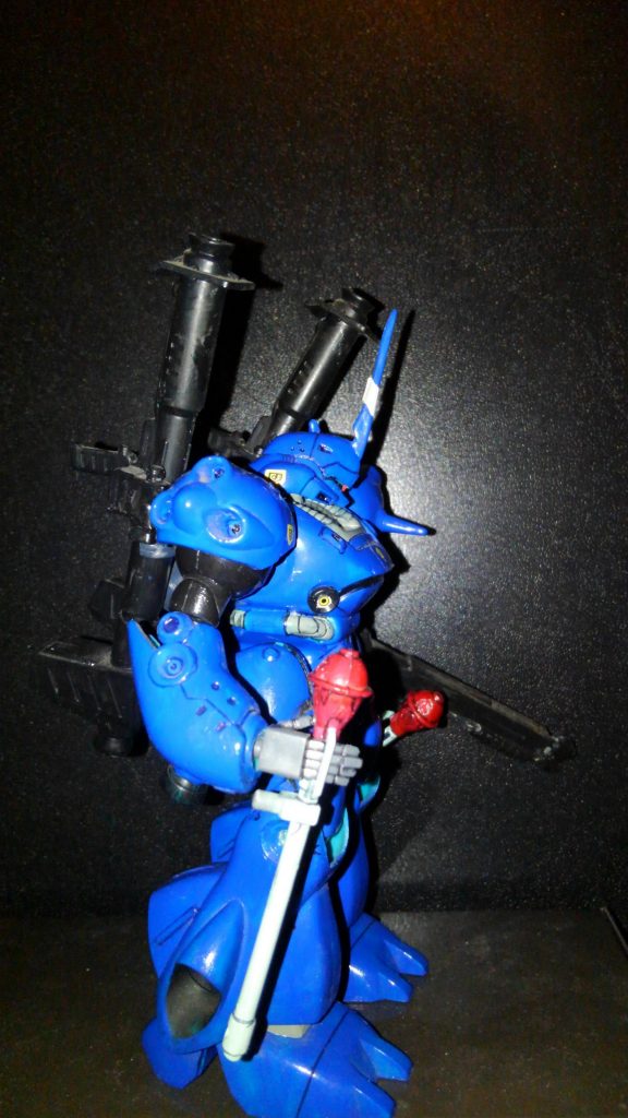 頑張って埃を落としてはいるものの中々落ちてくれません(´;д;`)