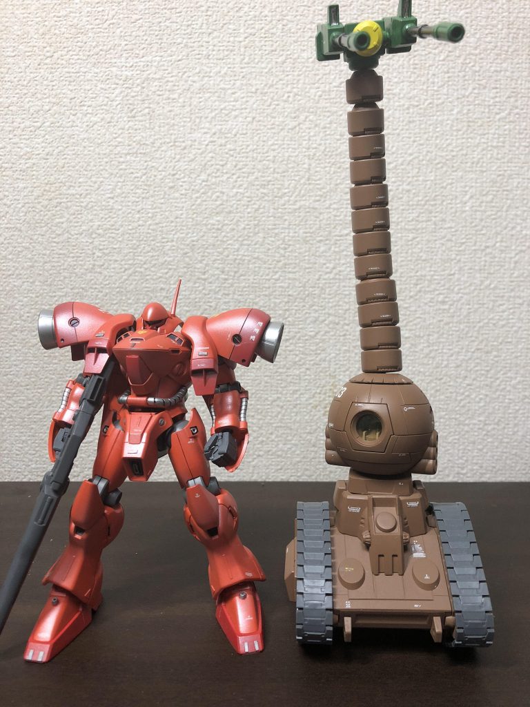 近場にあったガーベラテトラとの高さ比較。長い。