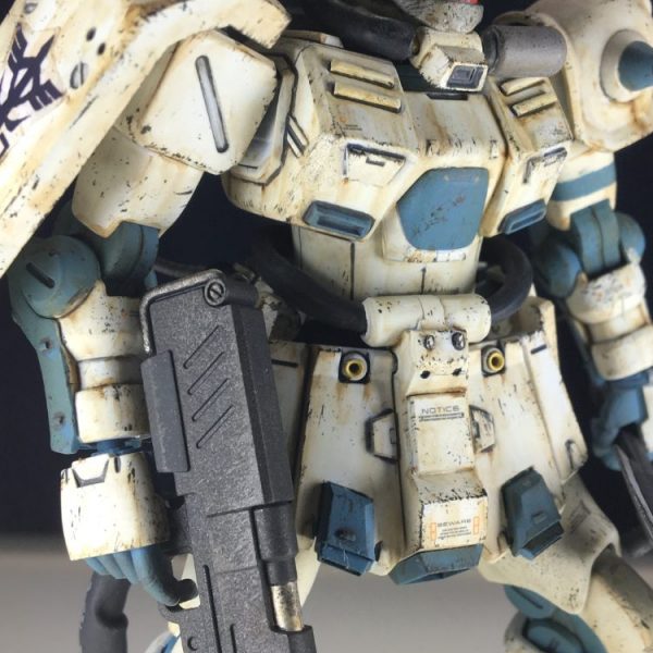 ザクⅡFZ 首都防衛大隊強行偵察機仕様