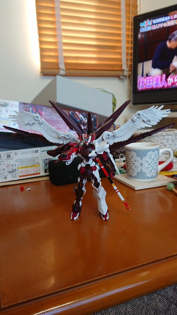 ツ・ファントムシステムスタンバイ さあ血祭りにあげるぜ。