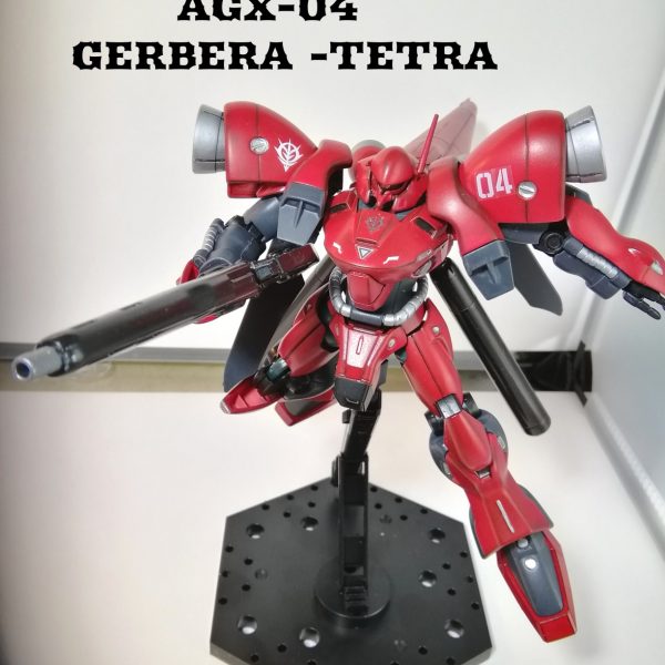 ガーベラ・テトラ