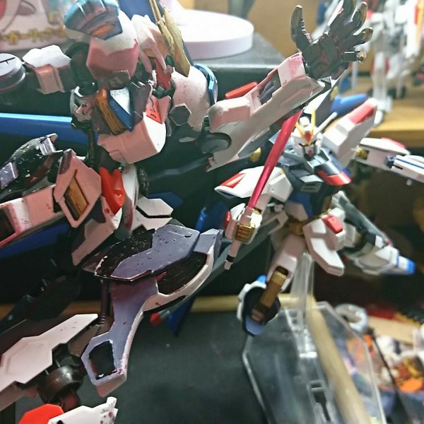 ストフリＶＳルプスレクス